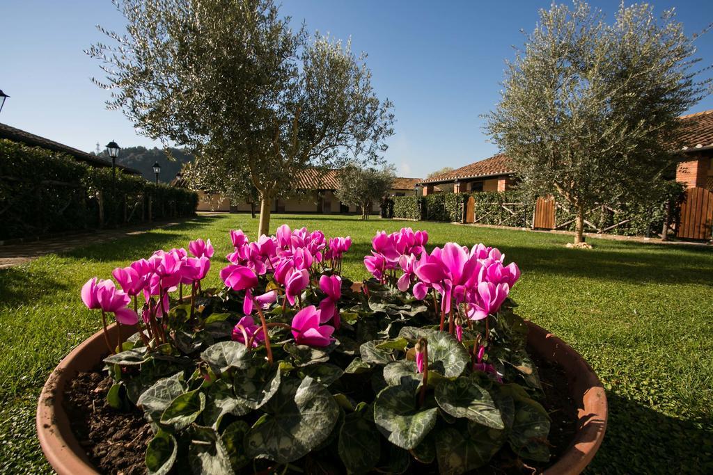 Agriturismo Tre Acque Farm stay Rome